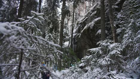 Forest-mountain-full-of-snow-with-pine-trees-and-icicle