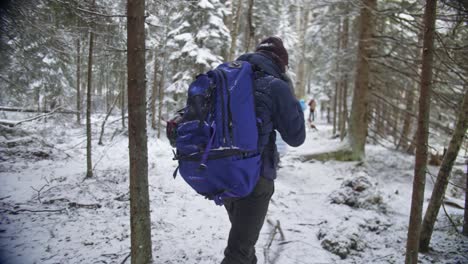 Tourist-in-a-winter-forest-walking-on-a-trail-with-a-huge-camping-backpack