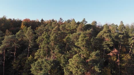 Luftaufnahme-Eines-Waldes-In-Schönen-Herbstfarben