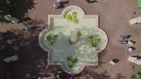 Summer-Garden,-an-aerial-drone-footage-of-a-fountain-on-a-3rd-alley,-fly-away-over-the-top,-straight-down-looking-shot,-people-walking-in-a-park,-ancient-greek-statues,-flowers