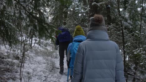 Hikers-walking-in-a-winter-forest-with-pine-trees-and-dog-in-warm-woolen-hats
