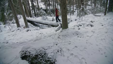 Man-walking-over-a-fallen-tree-in-a-forest-in-winter