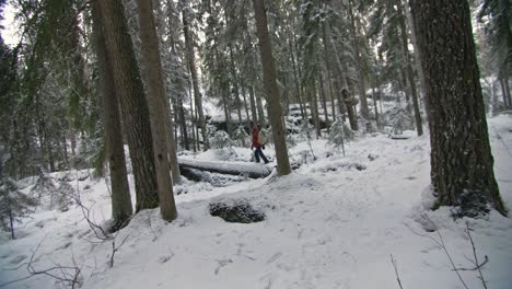 Man-walking-over-a-fallen-tree-in-a-forest-in-winter