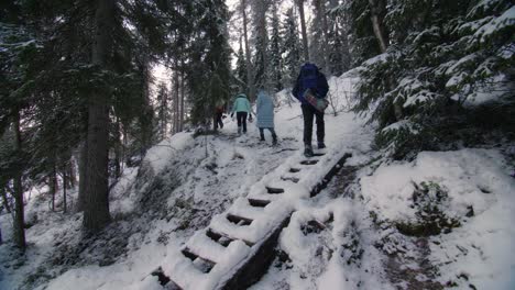 People-tourists-in-winter-forest-in-Finland-on-a-forest-trail-going-up-the-stairs
