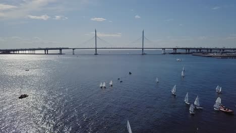 Yachts-sailing-in-a-city-bay-next-to-a-bridge-and-summer-sun,-white-ripples-on-a-water