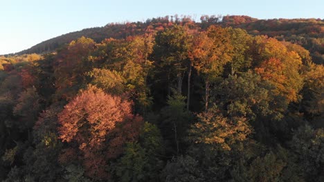 Luftaufnahme-Eines-Alten-Fußballplatzes-In-Einem-Wald-In-Schönen-Herbstfarben