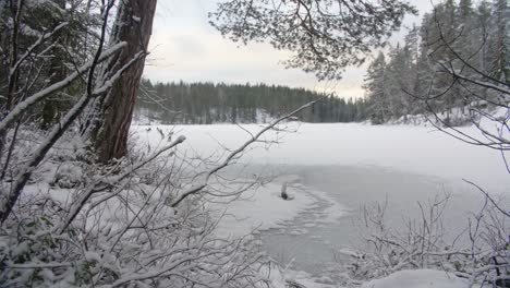 Still-winter-image-of-a-frozen-lake-and-falling-snow-particles