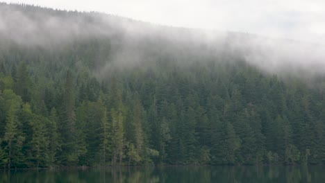 Wide-shot-of-quick-moving-fog-through-a-mountainous-forest-on-a-river-bank