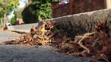 A-pile-of-leaves-have-collected-by-the-side-of-the-road-on-an-empty-street