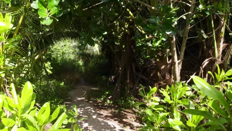 POV-of-a-hike-through-the-jungle-next-to-the-white-beaches-of-Anse-Coco,-Petit-Anse-and-Grand-Anse-on-La-Digue,-Seychelles