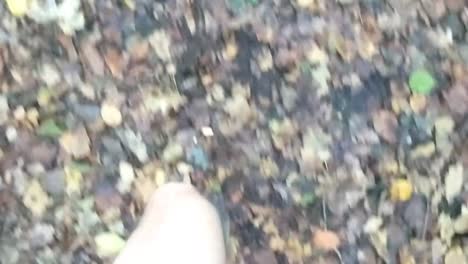 First-person-view-of-an-athlet-running-in-the-woods-on-autumn-leaves-in-short-pants
