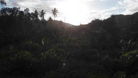 Luftaufnahme-Des-Dschungels-Bei-Anse-Coco,-Petit-Anse-Und-Grand-Anse-Auf-La-Digue,-Einer-Insel-Der-Seychellen