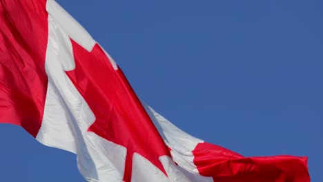 4k---Bandera-Canadiense-Ondeando-Al-Viento-En-Un-Día-Claro-Y-Soleado