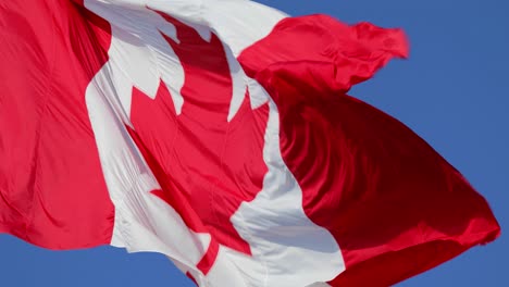 4k---Kanadische-Flagge,-Die-An-Einem-Klaren,-Sonnigen-Tag-In-Zeitlupe-Im-Wind-Weht