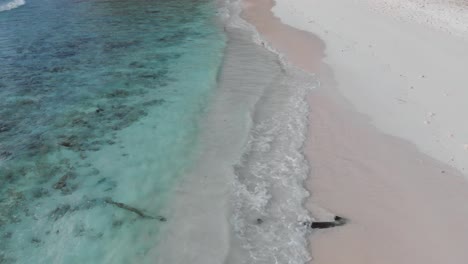 Luftaufnahme-Der-Weißen-Strände-Und-Des-Türkisfarbenen-Wassers-Von-Anse-Coco,-Petit-Anse-Und-Grand-Anse-Auf-La-Digue,-Einer-Insel-Der-Seychellen