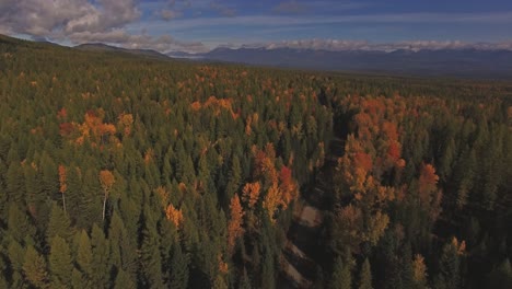 Aerial-Drone-Shot-in-Montana-traveling-down-a-dirt-road-in-the-Fall-or-Autumn