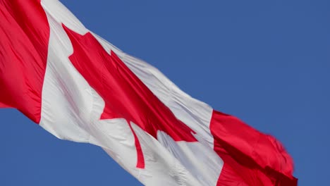 4k---Bandera-Canadiense-Ondeando-Al-Viento-En-Un-Día-Claro-Y-Soleado