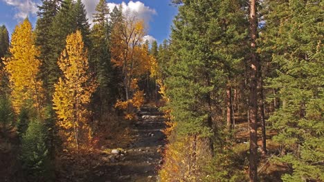 Aerial-Drone-shot-panning-down-a-creek-or-stream-in-the-fall-or-autumn-in-Montana