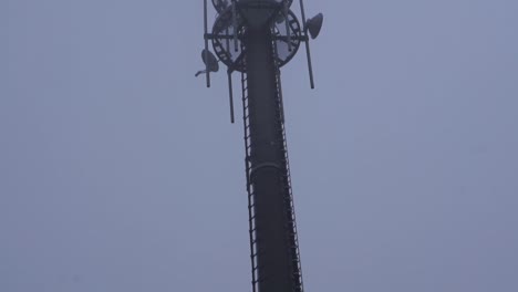 Slow-vertical-camera-pan-on-a-tall-radio-tower-in-the-forest-in-autum-with-fog-and-rain