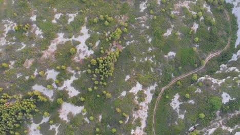 Spinning-and-panning-up-drone-shot-of-rocky-valley-dotted-by-trees-and-bushes