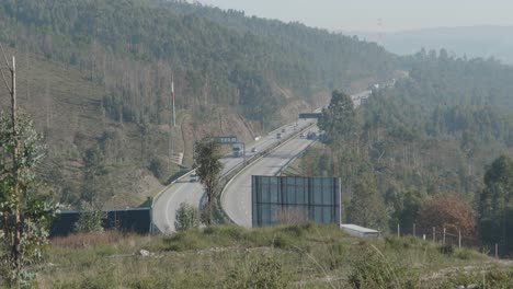 Highway-crossing-nature