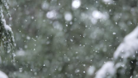 Slow-motion,-close-up-shot-of-snow,-camera-follows-snowflake-as-it-falls
