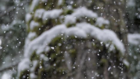 Slow-motion,-close-up-shot-of-snow,-camera-follows-snowflake-as-it-falls