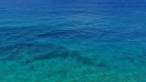 Schwenken-Luftaufnahme-Eines-Schnorchlers-In-Maui-Hawaii-In-Wunderschön-Mit-Blauem-Wasser,-Sand-Und-Küste