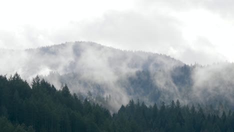 Panning-shot-of-foggy-mountains-and-treeline