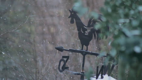 Weather-vane-in-rooster-shape