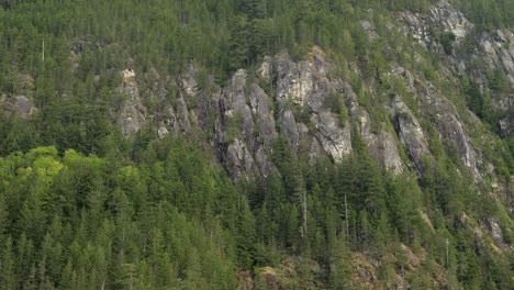 Breite-Aufnahme-Einer-Felsigen-Küste-In-Britisch-Kolumbien