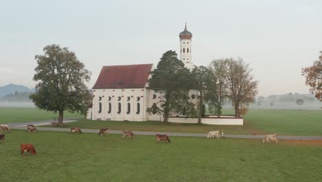 Neuschwanstein-Church-Misty-Morning-in-Autumn-|-4K-|-DJI-MAVIC-2-PRO
D-LOG---Perfect-for-colour-grading