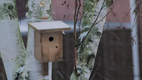 Empty-bird-house-during-snowstorm