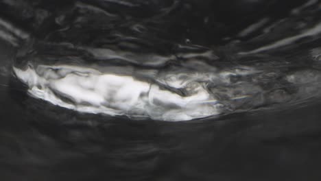 Makroaufnahmen-Von-Wasser,-Das-Ein-Glas-Füllt,-Und-Ein-Laowo-Objektiv-Wird-Mit-Einer-Sony-F55-Bei-120-Fps-Unter-Wasser-Aufgenommen