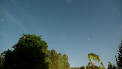 Panning-time-lapse-wide-shot-of-stars-rotating-around-the-south-celestial-pole-with-the-foreground-trees-lit-by-the-moon-as-it-sets-behind-the-camera