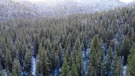 Drone-flying-over-snowy-forest