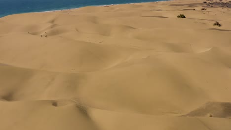 Drohnenflug-über-Dünen-Und-Wüste-Mit-Meer-Und-Strand,-Dunas-De-Maspalomas,-Gran-Canaria