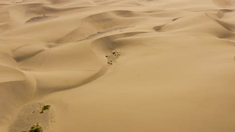 Drone-Flight-Over-Dunes-And-Desert,-Dunas-De-Maspalomas,-Gran-Canaria