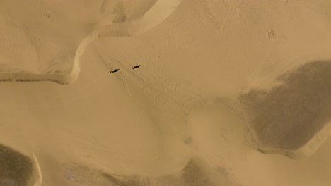 Drone-shot-of-people-walking-in-dunes-in-the-desert,-dunas-de-maspalomas,-gran-canaria