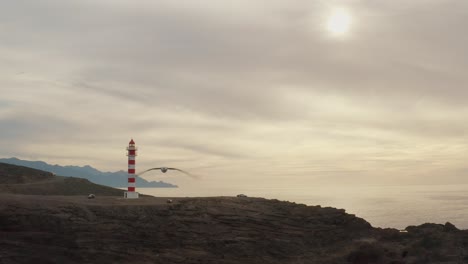 Drone-shot-of-a-lighthouse-with-a-gull-flying-in-the-foreground