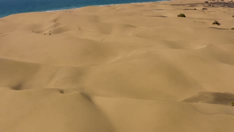 Drone-flight-over-dunes-and-desert-with-sea-and-beach,-dunas-de-maspalomas,-gran-canaria