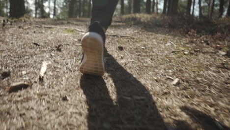 Low-angle-shot-with-woman's-legs-walking-through-the-forest-in-slow-motion