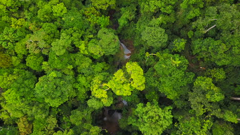 Aerial-of-flying-over-a-beautiful-green-forest-in-a-landscape-in-Thailand