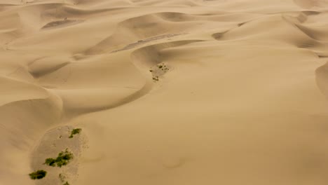 Drone-Flight-Over-Dune-And-Desert,-Dunas-De-Maspalomas,-Gran-Canaria