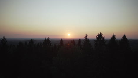 Rote-Sonne-Bei-Sonnenuntergang-über-Baumsilhouette