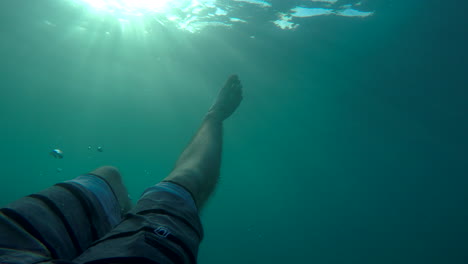 POV-Unterwasseraufnahme-In-Zeitlupe,-Die-Shorts-Und-Beine-Zeigt,-Als-Ein-Mann,-Der-Kopfüber-Unter-Der-Oberfläche-Des-Ozeans-Schwimmt