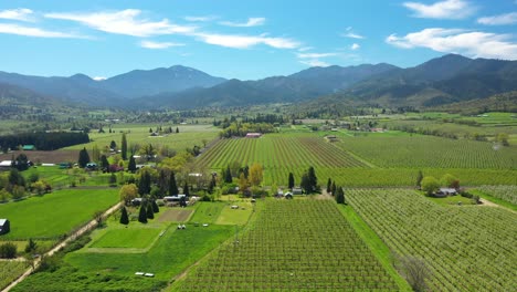 Luftaufnahme-Des-Tals-Voller-Obstplantagen,-Süd-Oregon