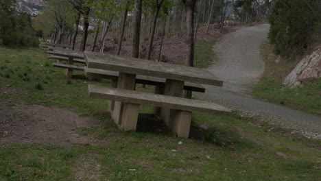 Dark-Place-With-Stone-Tables-for-picnics