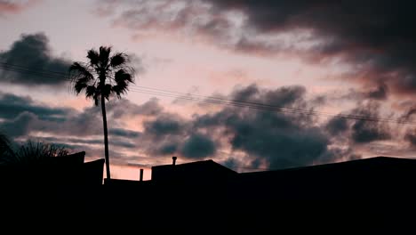 Sonnenuntergang-Im-Zeitraffer-In-San-Diego-Mit-Wolken-Und-Palmen