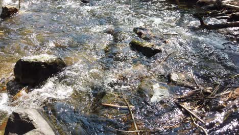 Fluss-Fließt-Mit-Müllstücken-Darin